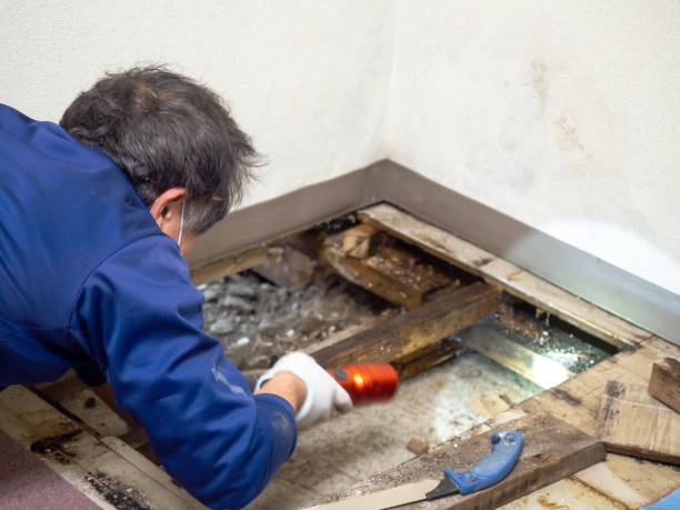 Water Damage Restoration in Central Falls, RI