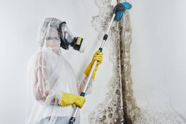 Best Water Damage Restoration  in Central Falls, RI
