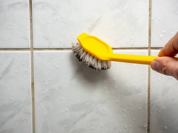 Reliable Central Falls, RI Mold Removal Solutions