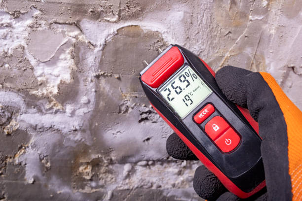 Best Office Mold Removal Services  in Central Falls, RI